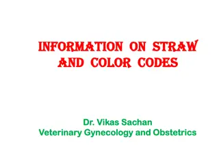 Breeding Soundness and Straw Identification in Cattle