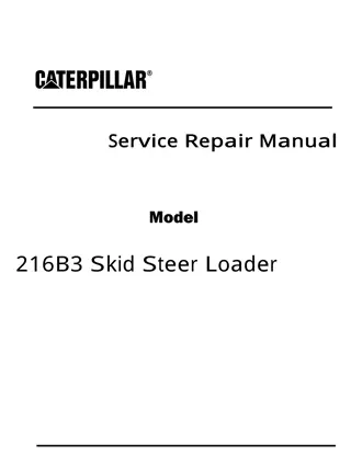 Caterpillar Cat 216B3 Skid Steer Loader (Prefix DSN) Service Repair Manual Instant Download