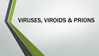 Understanding Viruses, Viroids, and Prions: A Comprehensive Overview