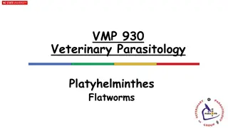 Flatworms and Roundworms in Veterinary Parasitology