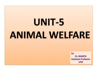 Animal Welfare and Ethics: Standards and Regulations in India