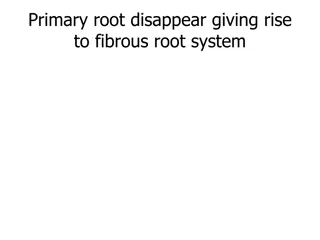 Plant Classification and Nomenclature Explained