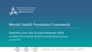 Mental Health Promotion Framework Development