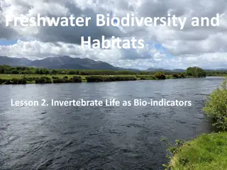 Understanding Freshwater Biodiversity: Invertebrate Bio-indicators