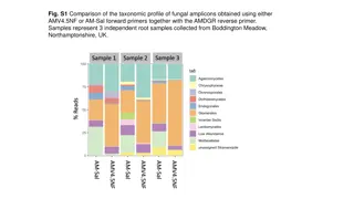 Fungal Diversity Analysis in Wheat Roots Using Different Primers