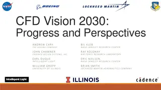 Progress Toward CFD Vision 2030: Industry Insights and Challenges