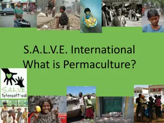S.A.L.V.E. International Permaculture Farm: Empowering Children Through Sustainable Agriculture