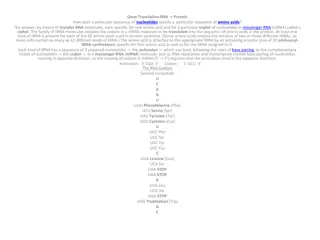 Gene Translation: From RNA to Protein