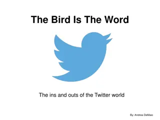 The Bird Is The Word: A Comprehensive Twitter Tutorial