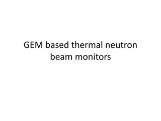 Innovative Solutions for Thermal Neutron Beam Monitoring