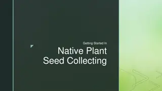 Native Plant Seed Collection: A Guide to Conservation and Sustainability