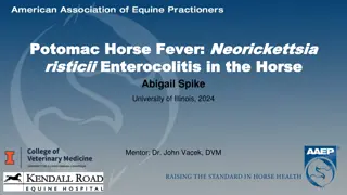 Potomac Horse Fever: Clinical Presentation and Diagnostic Plan