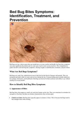 Bed Bug Bites Symptoms | healthcare360
