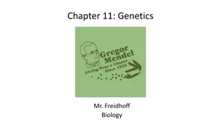 Genetics: A Comprehensive Overview