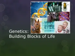 Genetics: The Blueprint of Life
