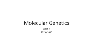 DNA Extraction from Strawberries in Molecular Genetics