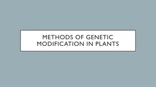 Different Methods of Genetic Modification in Plants