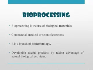 Bioprocessing: Advantages, History, Applications, and Enzyme Use