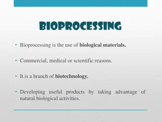 Understanding Bioprocessing: Advantages, History, Applications, and Enzyme Use