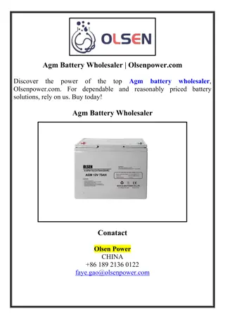 Agm Battery Wholesaler | Olsenpower.com