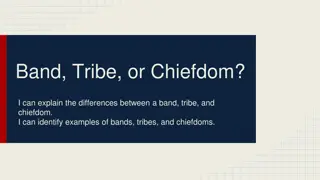 Social Organization: Bands, Tribes, and Chiefdoms Explained