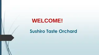 Best Conveyor Belt Sushi in Orchard