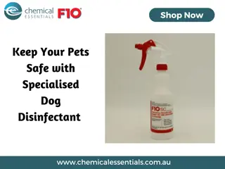 Keep Your Pets Safe with Specialised Dog Disinfectant