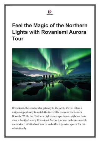 Feel the Magic of the Northern Lights with Rovaniemi Aurora Tour