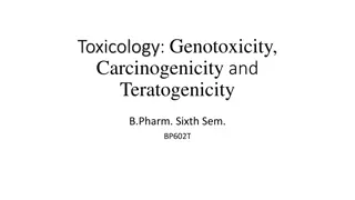 Understanding Toxicology: Genotoxicity, Carcinogenicity, and Teratogenicity in B Pharm Studies