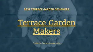 Terrace Garden Makers