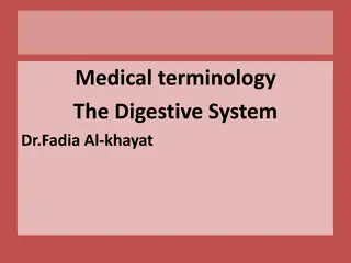 The Digestive System: Medical Terminology Overview