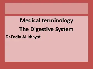 Understanding the Digestive System: Medical Terminology Overview