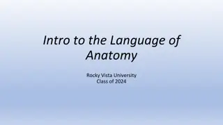 Anatomy Basics for Rocky Vista University Class of 2024