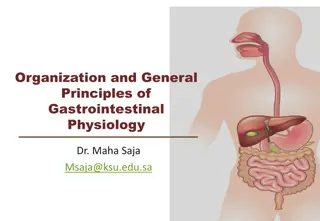 Essential Overview of Gastrointestinal Physiology