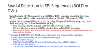 Spatial Distortion Correction in EPI Sequences: Field Mapping Examples