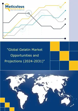 Global Gelatin Market: Projections and Insights (2024-2031)