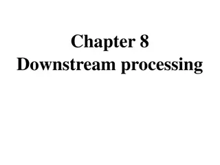 Downstream Processing in Bioprocessing