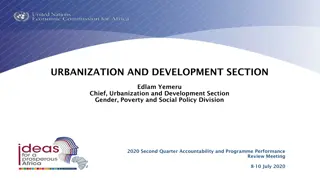 Progress Report on Urbanization and Development Initiatives in Africa