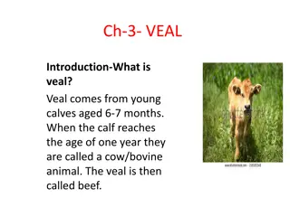 Understanding Veal: Types, Characteristics, Grading, and Cooking Methods