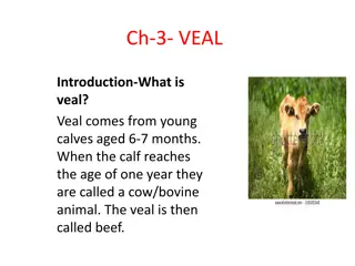 Veal: Types, Characteristics, Grading, and Cooking Methods