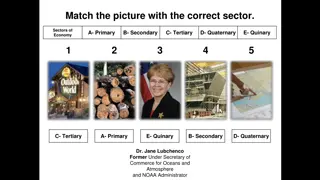 Economic Sectors: Primary, Secondary, Tertiary, Quaternary, and Quinary