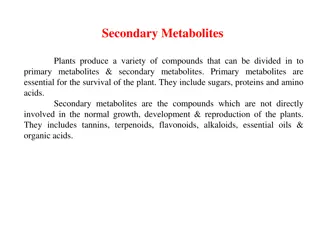 Plant Metabolites: Primary vs. Secondary & Their Biological Functions