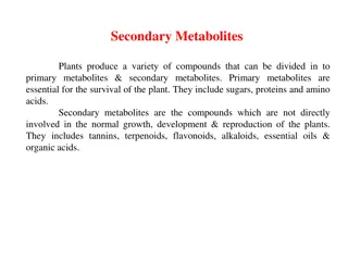 Understanding Plant Metabolites: Primary vs. Secondary & Their Biological Functions