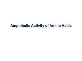 Significance of Amino Acids in Biological Pathways
