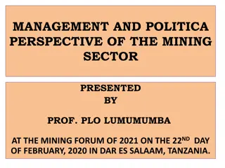 Perspectives on Mining Sector Management and Policy in Africa