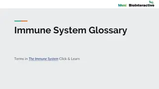 Comprehensive Guide to Immune System Glossary Terms