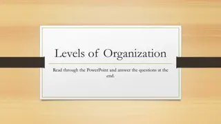 Levels of Organization in Living Organisms