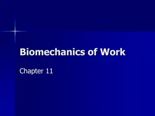 Biomechanics of Work and Musculoskeletal System