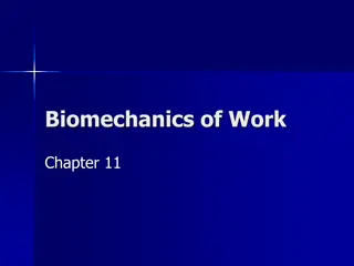 Understanding Biomechanics of Work and Musculoskeletal System