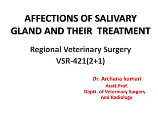 Affections of Salivary Glands in Veterinary Surgery: Overview and Treatment